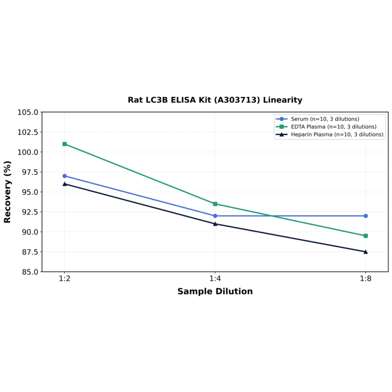 Linearity - Rat LC3B ELISA Kit (A303713) - Antibodies.com