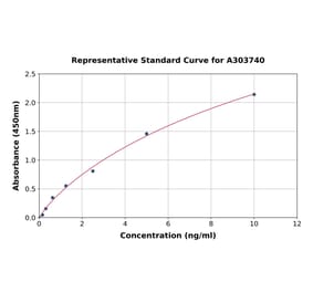 Standard Curve - Rat beta Defensin 1 ELISA Kit (A303740) - Antibodies.com