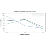 Linearity - Rat BRCA1 ELISA Kit (A303751) - Antibodies.com