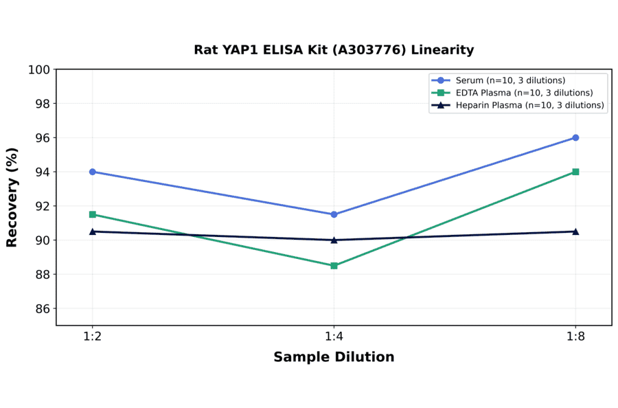 Linearity - Rat YAP1 ELISA Kit (A303776) - Antibodies.com