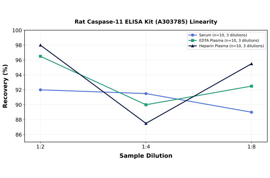 Linearity - Rat Caspase-11 ELISA Kit (A303785) - Antibodies.com