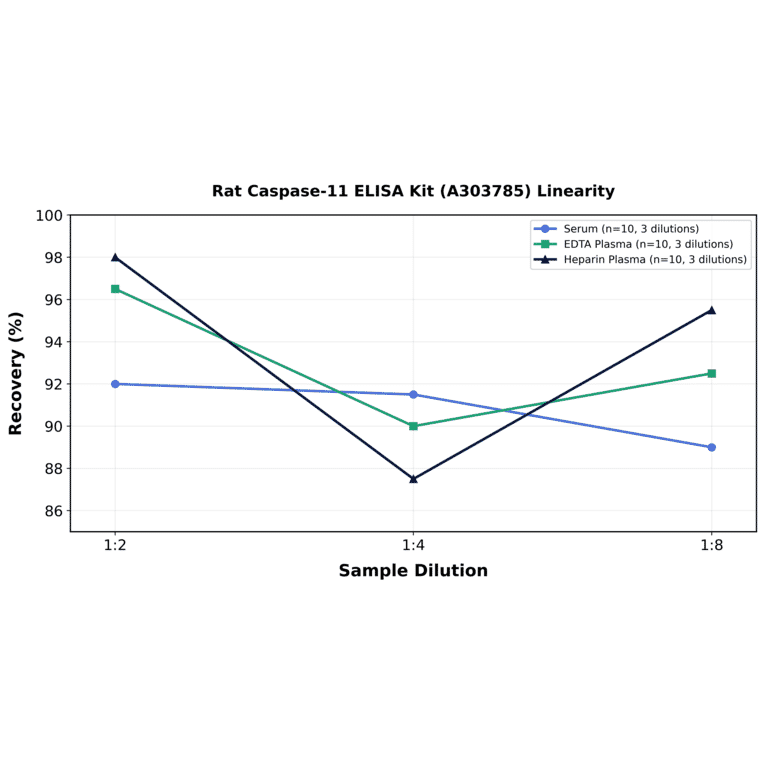 Linearity - Rat Caspase-11 ELISA Kit (A303785) - Antibodies.com