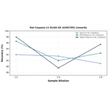 Linearity - Rat Caspase-11 ELISA Kit (A303785) - Antibodies.com