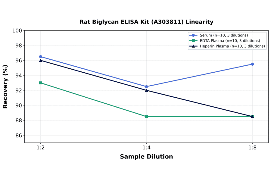 Linearity - Rat Biglycan ELISA Kit (A303811) - Antibodies.com