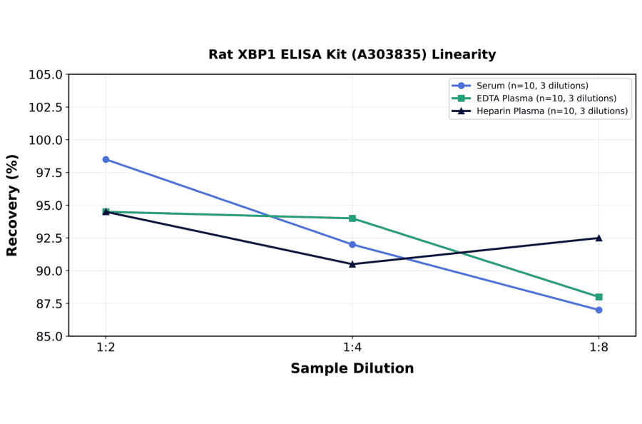 Linearity - Rat XBP1 ELISA Kit (A303835) - Antibodies.com
