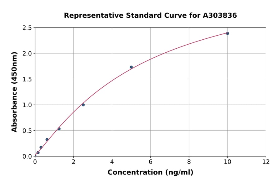 Standard Curve - Rat XIAP ELISA Kit (A303836) - Antibodies.com