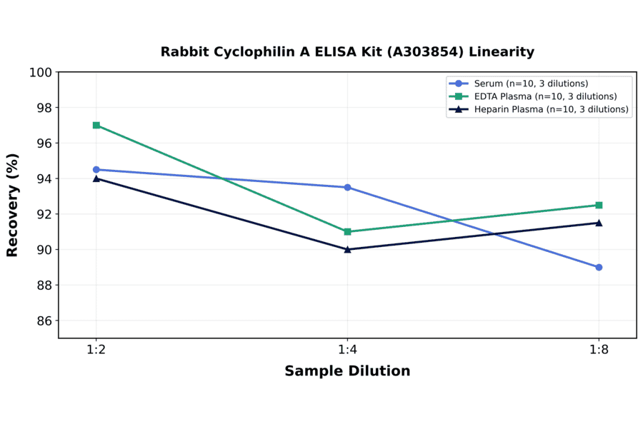 Linearity - Rabbit Cyclophilin A ELISA Kit (A303854) - Antibodies.com