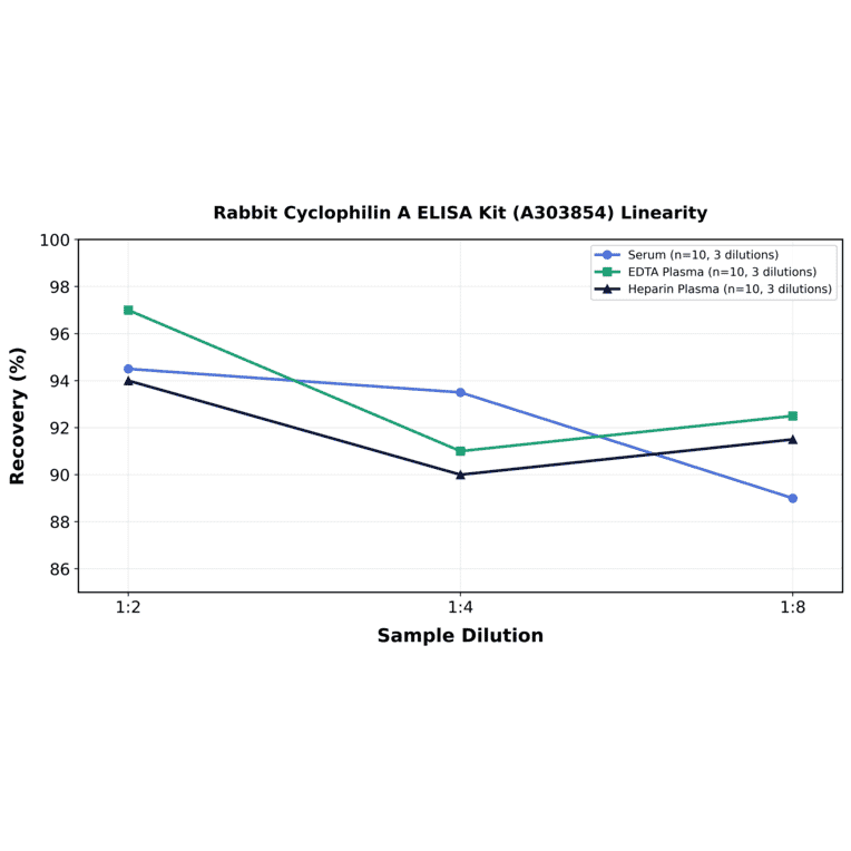 Linearity - Rabbit Cyclophilin A ELISA Kit (A303854) - Antibodies.com