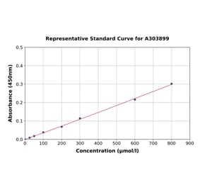 Standard Curve - Creatinine Assay Kit (A303899) - Antibodies.com