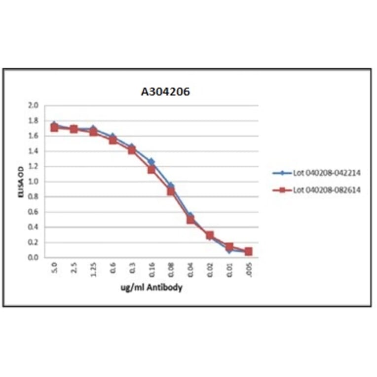 Validation Data - Anti-Myelin Basic Protein Antibody [MBP101] - BSA and Azide free (A304206)