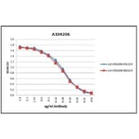 Validation Data - Anti-Myelin Basic Protein Antibody [MBP101] - BSA and Azide free (A304206)