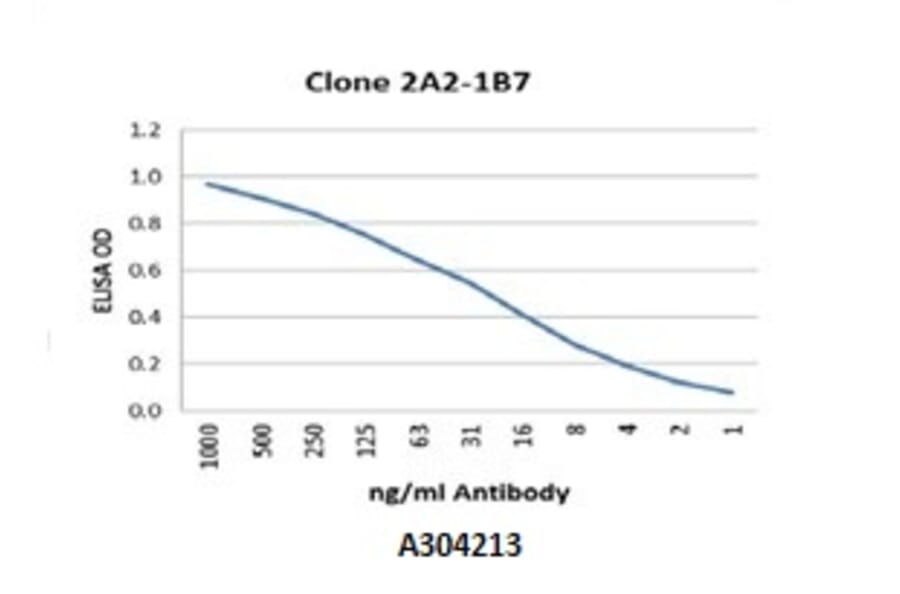 Validation Data - Anti-Glutathione Reductase Antibody [2A2-1B7] - BSA and Azide free (A304213)