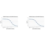 Validation Data - Anti-Glutathione Reductase Antibody [2A2-1B7] - BSA and Azide free (A304213)