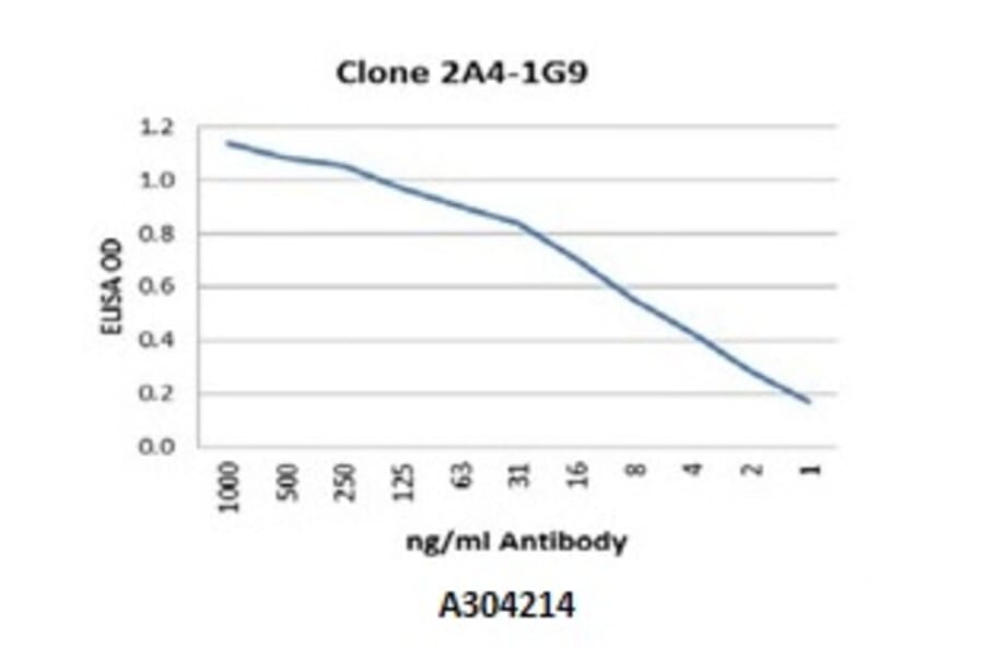 Validation Data - Anti-Glutathione Reductase Antibody [2A4-1G9] - BSA and Azide free (A304214)