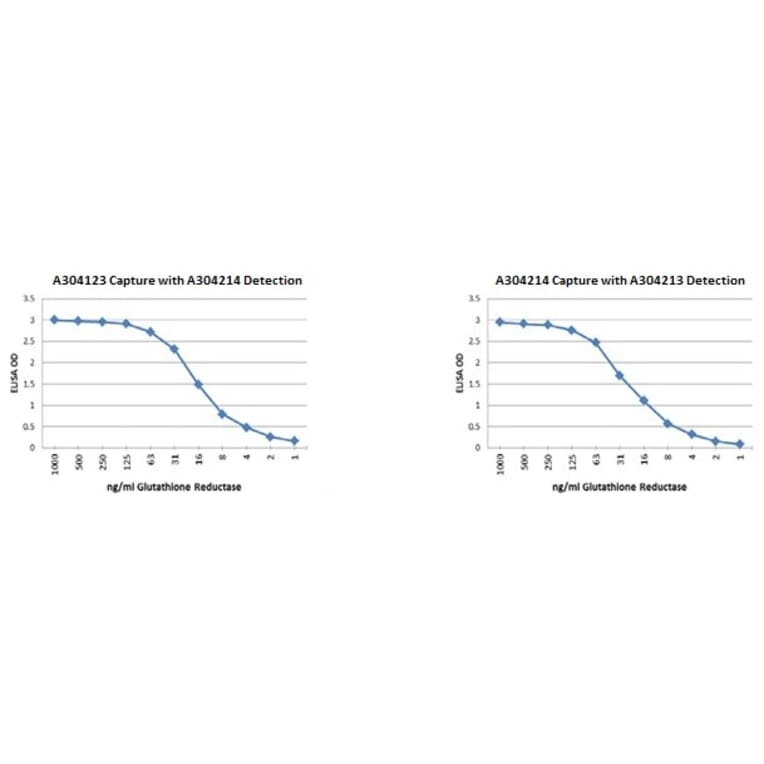 Validation Data - Anti-Glutathione Reductase Antibody [2A4-1G9] - BSA and Azide free (A304214)