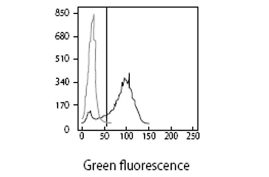 Validation Data - Anti-CD62P Antibody [WGA-1] - Azide free (A304473)