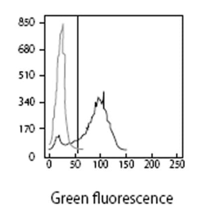 Validation Data - Anti-CD62P Antibody [WGA-1] - Azide free (A304473)