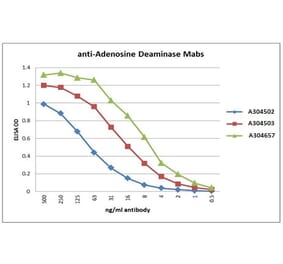 Validation Data - Anti-Adenosine deaminase Antibody [1F5-2G6] - BSA and Azide free (A304502)