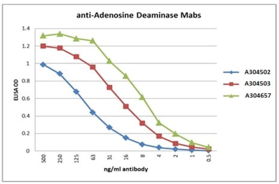Validation Data - Anti-Adenosine deaminase Antibody [2F5-1D3] - BSA and Azide free (A304657)