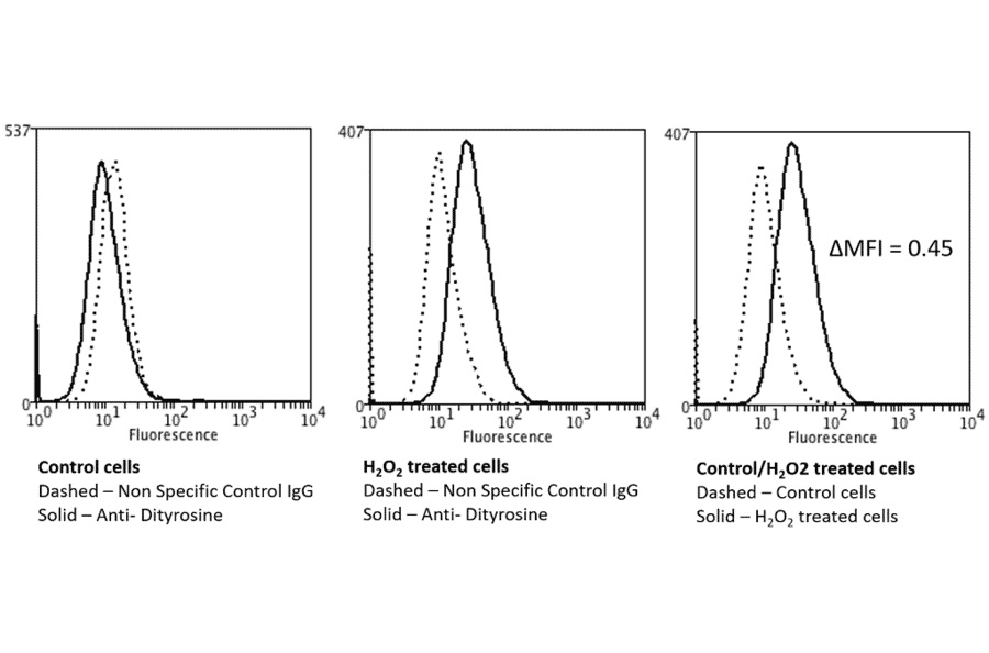 Flow Cytometry - Anti-Dityrosine Antibody [10A6] (A304720) - Antibodies.com