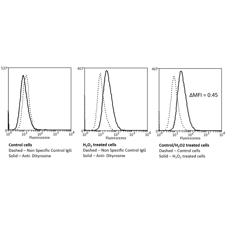 Flow Cytometry - Anti-Dityrosine Antibody [10A6] (A304720) - Antibodies.com