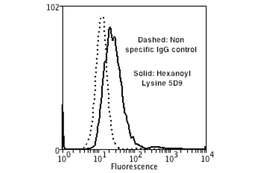 Flow Cytometry - Anti-Hexanoyl-Lysine adduct Antibody [5D9] (A304725) - Antibodies.com