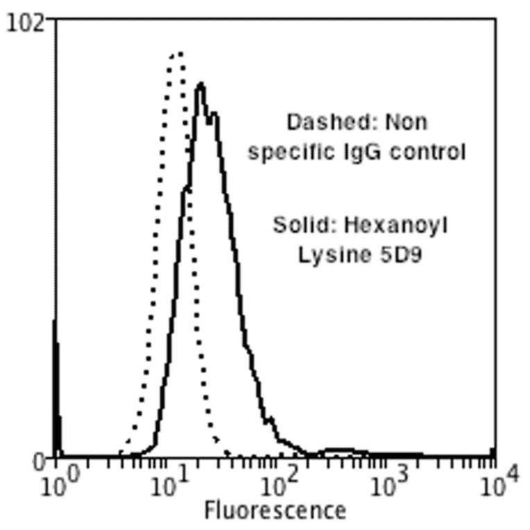 Flow Cytometry - Anti-Hexanoyl-Lysine adduct Antibody [5D9] (A304725) - Antibodies.com