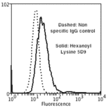 Flow Cytometry - Anti-Hexanoyl-Lysine adduct Antibody [5D9] (A304725) - Antibodies.com