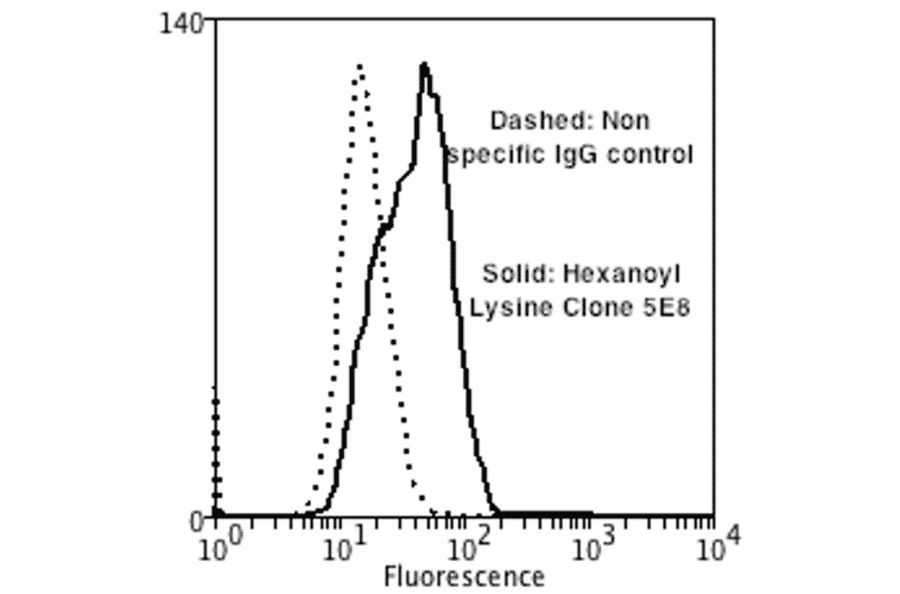 Flow Cytometry - Anti-Hexanoyl-Lysine adduct Antibody [5E8] (A304726) - Antibodies.com