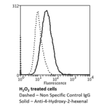 Flow Cytometry - Anti-4-Hydroxy-2-hexenal Antibody [6F10] (A304729) - Antibodies.com