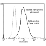 Flow Cytometry - Anti-Acrolein Antibody [10A10] (A304753) - Antibodies.com