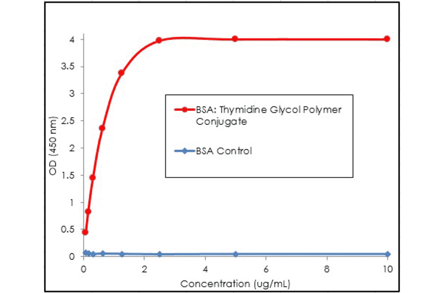 ELISA - Anti-Thymidine Glycol Antibody [B29] (A304898) - Antibodies.com