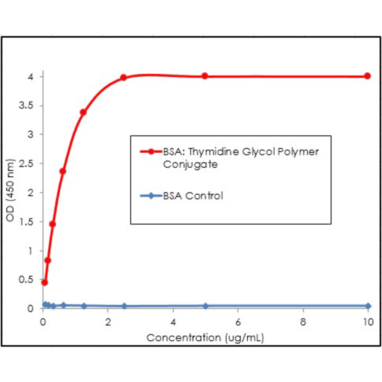 ELISA - Anti-Thymidine Glycol Antibody [B29] (A304898) - Antibodies.com