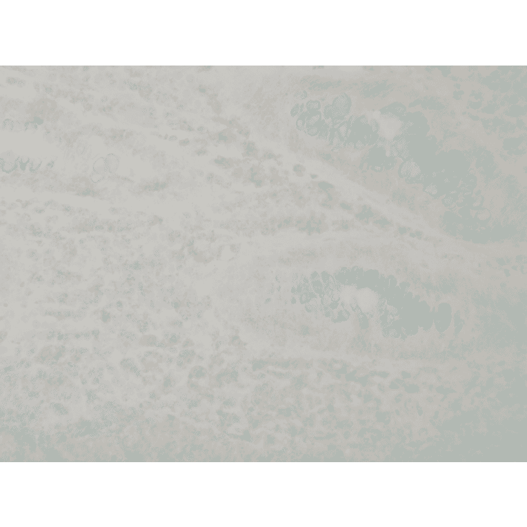 Immunohistochemistry - Anti-p38 alpha / MAPK14 Antibody [9F12] (A304996) - Antibodies.com