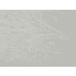 Immunohistochemistry - Anti-p38 alpha / MAPK14 Antibody [9F12] (A304996) - Antibodies.com