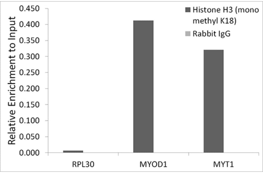 Chromatin Immunoprecipitation - Anti-Histone H3 (mono methyl Lys18) Antibody [ARC2621] (A305387) - Antibodies.com