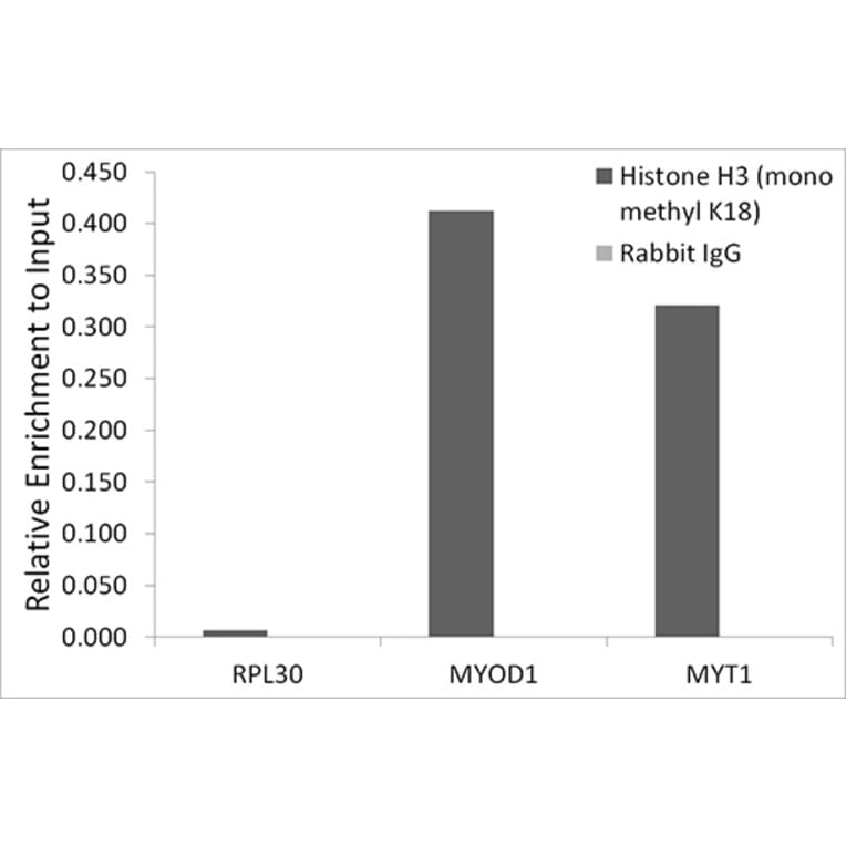 Chromatin Immunoprecipitation - Anti-Histone H3 (mono methyl Lys18) Antibody [ARC2621] (A305387) - Antibodies.com