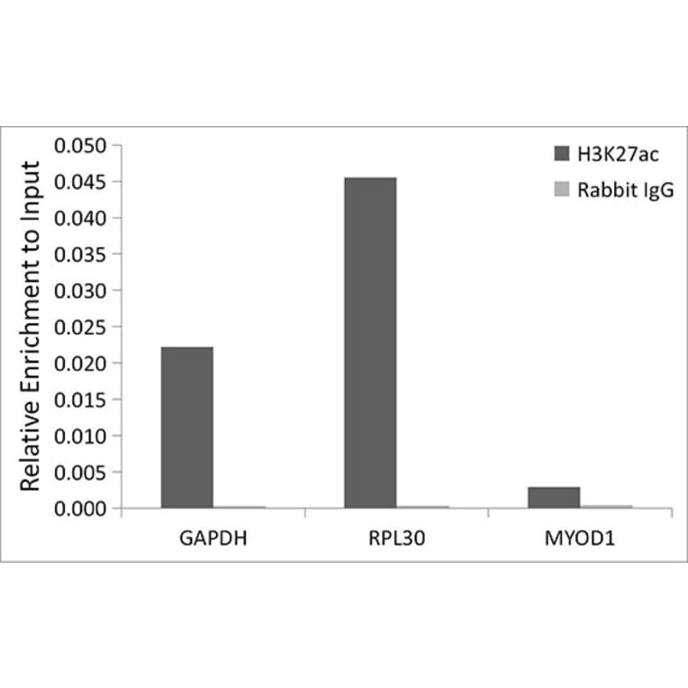 Chromatin Immunoprecipitation - Anti-Histone H3 (acetyl Lys27) Antibody (A305415) - Antibodies.com