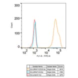 Flow Cytometry - Anti-CD3G Antibody [ARC2105] (A306075) - Antibodies.com
