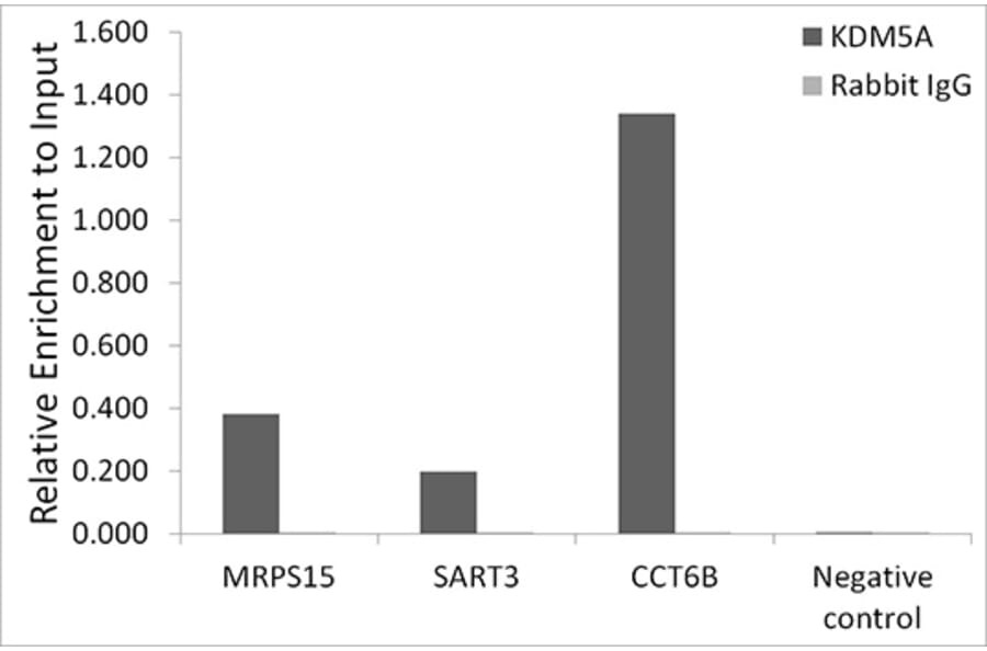 Chromatin Immunoprecipitation - Anti-KDM5A/Jarid1A/RBBP2 Antibody [ARC1120] (A306168) - Antibodies.com