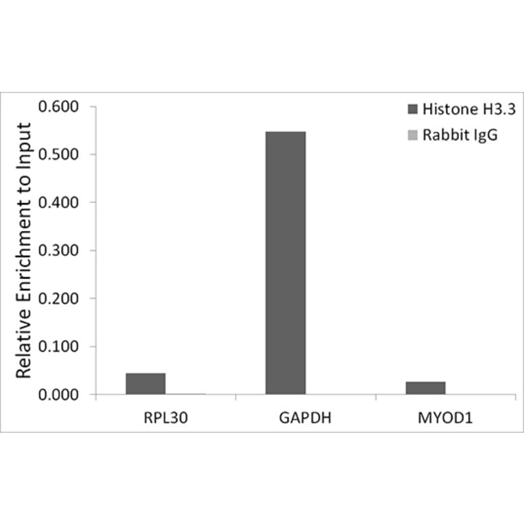 Chromatin Immunoprecipitation - Anti-Histone H3.3 Antibody [ARC0255] (A306483) - Antibodies.com