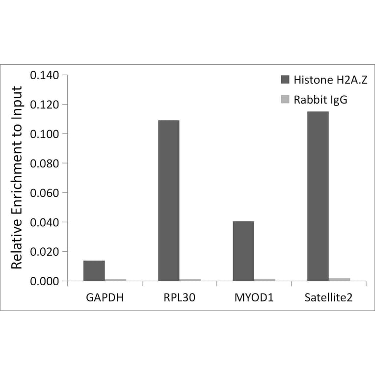 Chromatin Immunoprecipitation - Anti-Histone H2A.Z Antibody [ARC1048] (A306893) - Antibodies.com