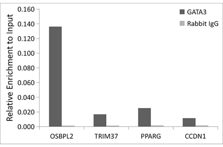 Chromatin Immunoprecipitation - Anti-GATA3 Antibody [ARC0115] (A307313) - Antibodies.com