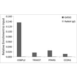Chromatin Immunoprecipitation - Anti-GATA3 Antibody [ARC0115] (A307313) - Antibodies.com
