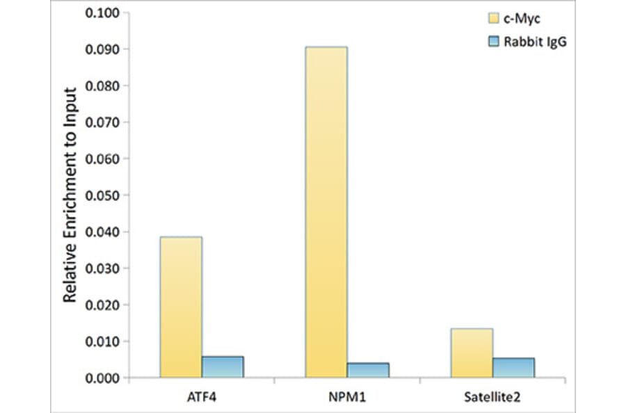 Chromatin Immunoprecipitation - Anti-c-Myc Antibody [ARC0412] (A307622) - Antibodies.com