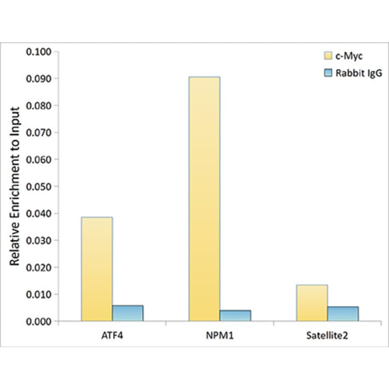 Chromatin Immunoprecipitation - Anti-c-Myc Antibody [ARC0412] (A307622) - Antibodies.com