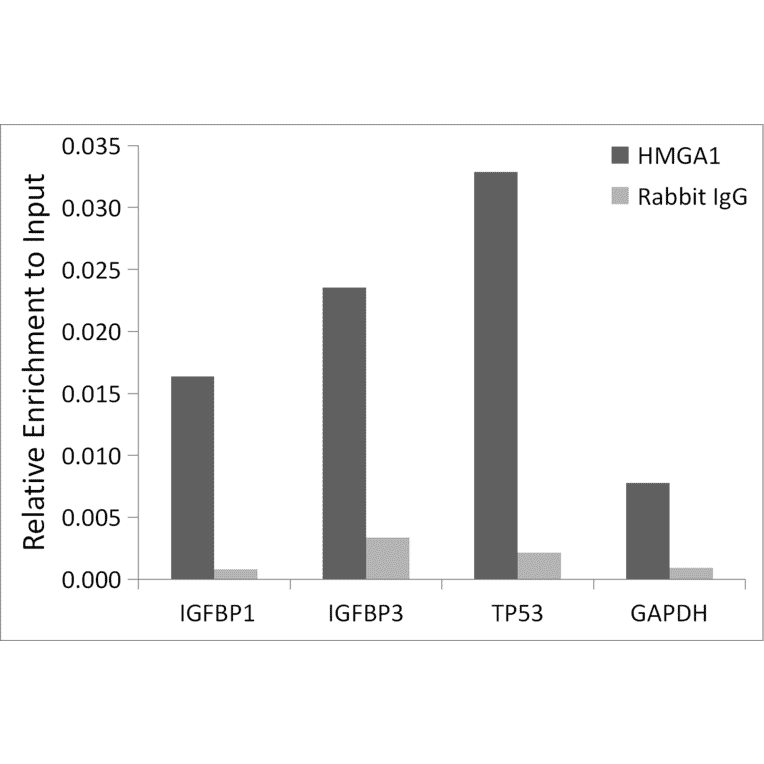 Chromatin Immunoprecipitation - Anti-HMGA1 Antibody (A307749) - Antibodies.com