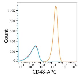 Flow Cytometry - Anti-CD48 Antibody [ARC53039] (APC) (A308319) - Antibodies.com