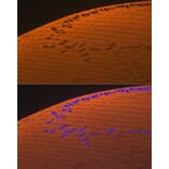 Immunofluorescence - Anti-alpha A Crystallin/CRYAA Antibody (A308325) - Antibodies.com