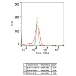 Flow Cytometry - Anti-CD3 zeta Antibody [ARC0533] (A308361) - Antibodies.com